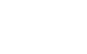 ntv